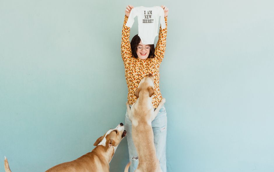 How to Introduce a Dog to a New Baby