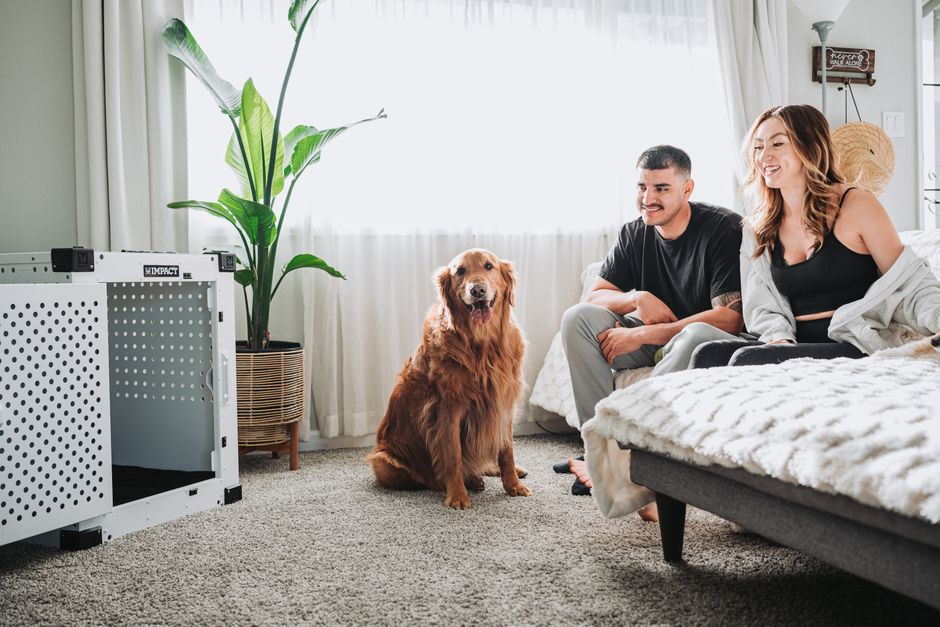 Best Pet-Friendly Home Upgrades