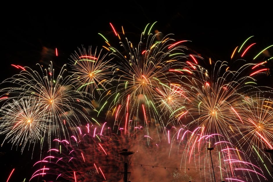 How to Keep Your Pet Calm During Fireworks