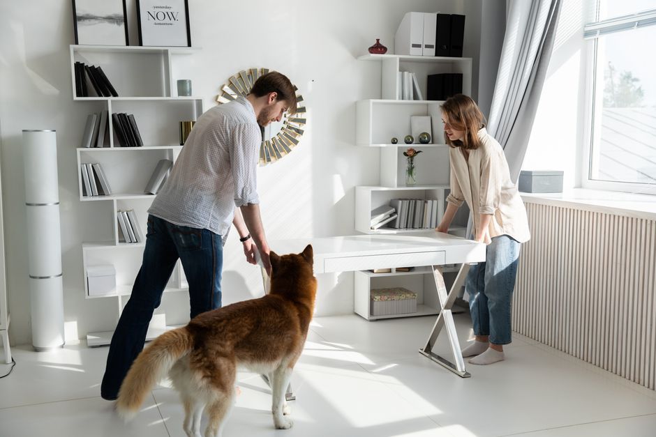 How to Keep Your Home Clean With Pets
