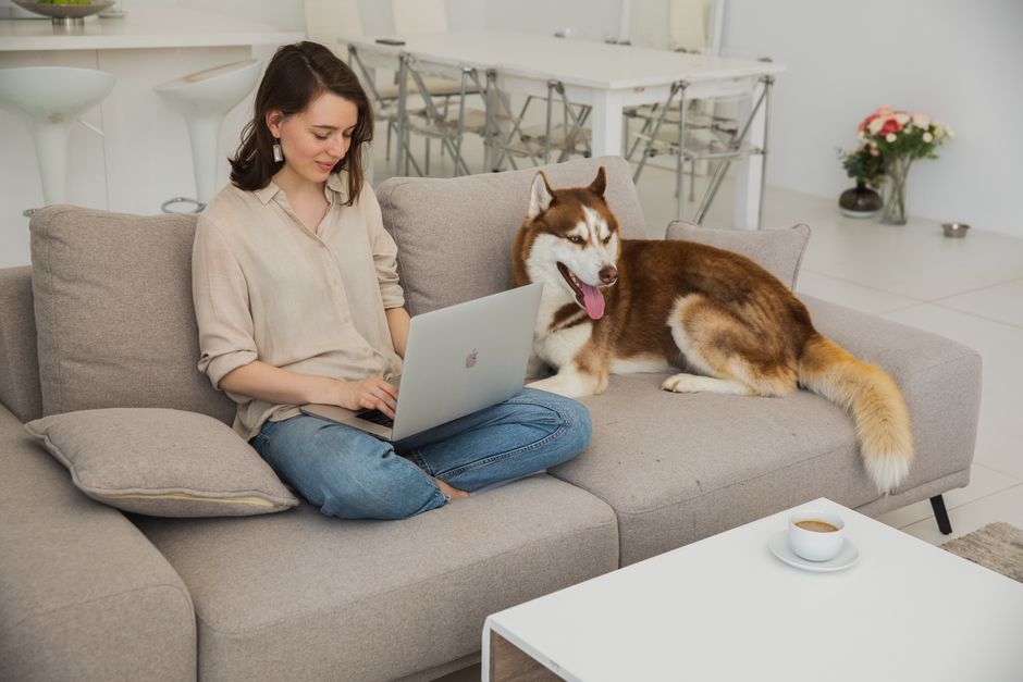 How to Remove Pet Hair From Furniture