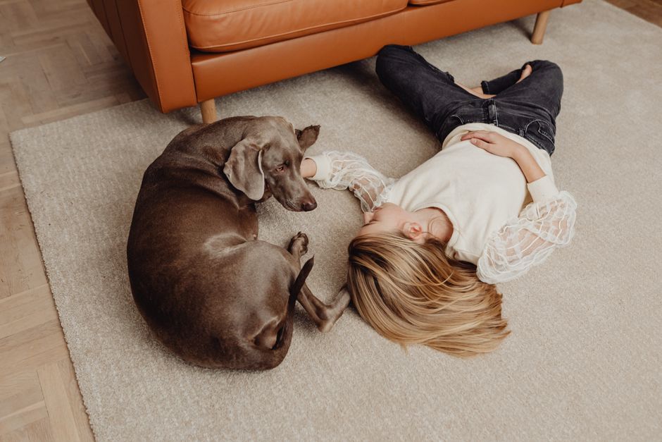 How to Make Your Home Pet-Friendly