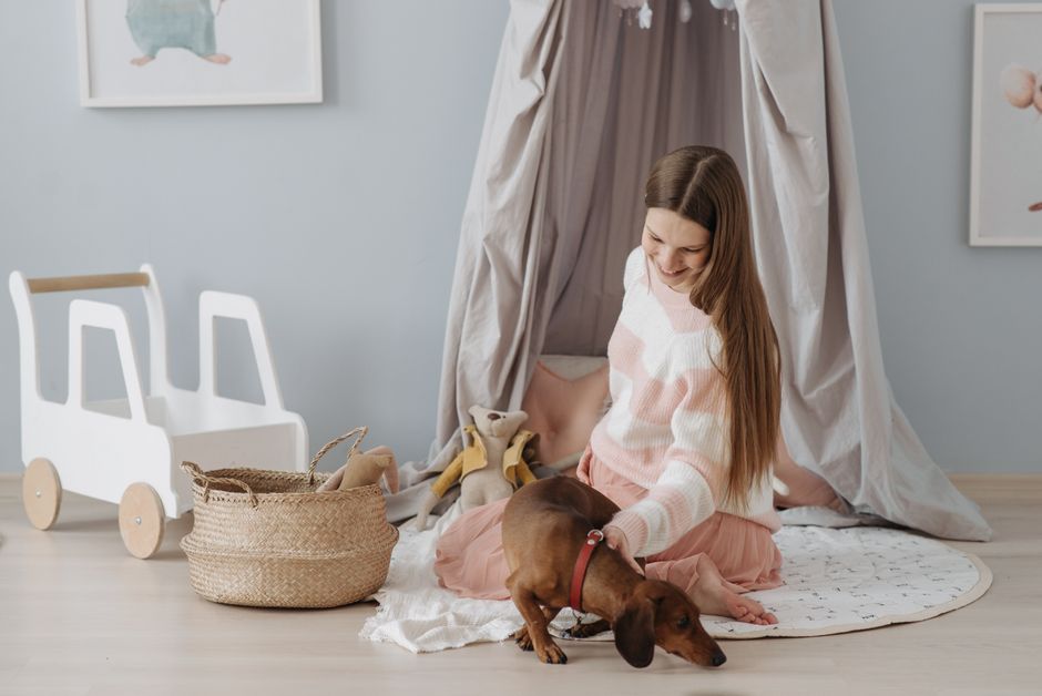 How to Decorate a Home With Pets