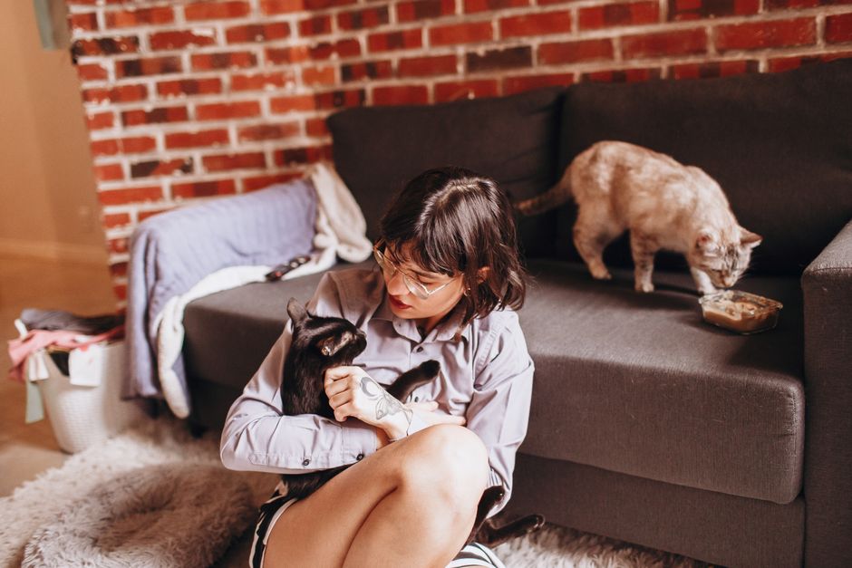 Best Rugs for Pet Owners